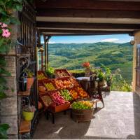 A fruit and vegetable stand with a view in Motovun