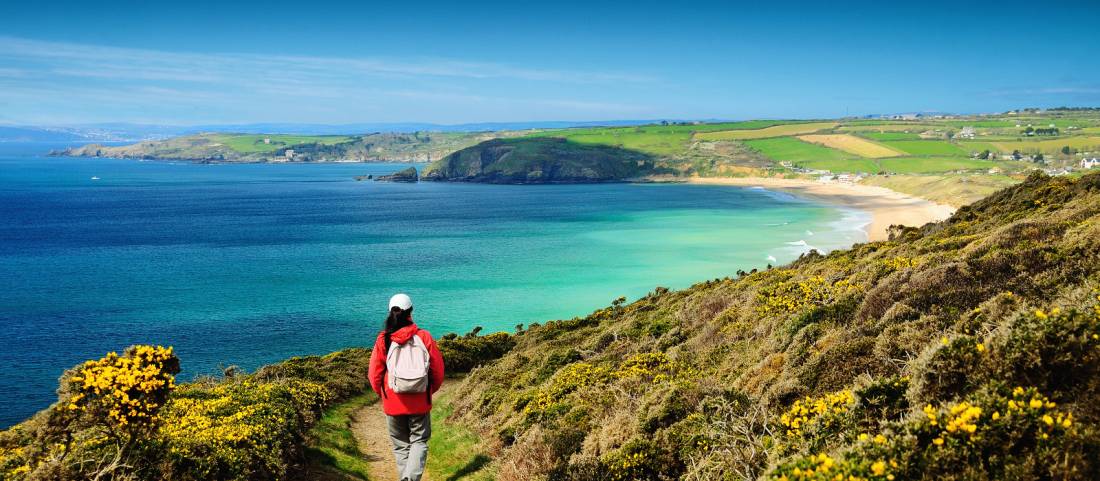 Walking the Salt Path, or South West Coast Path, in England |  Roy Curtis