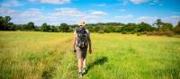 Walk through classic English countryside | Tim Charody