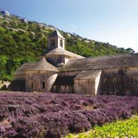 Abbey of Senanque