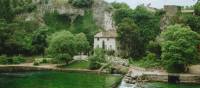 Lush greenery in L'Isle-sur-la-Sorgue, France | Chelsea Essig