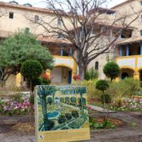 Retracing the life of Van Gogh in Arles, France | Meg von Haartman