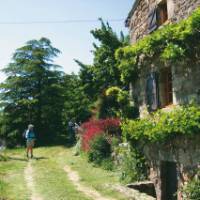 Walking in Auvergne, France