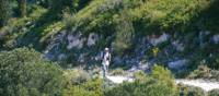 The trail from Les Baux to St Remy, across the Alpille | Rachel Imber