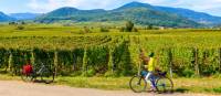 Exploring the Alsatian Wine Route in France