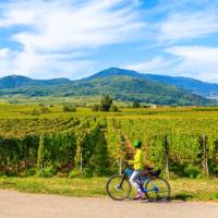 Exploring the Alsatian Wine Route in France