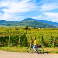 Exploring the Alsatian Wine Route in France