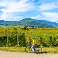 Exploring the Alsatian Wine Route in France