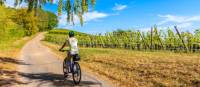 Cycling along the Alsatian Wine Route in France