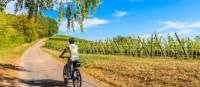 Cycling along the Alsatian Wine Route in France