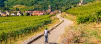 Cycle past vineyards to Kaysersberg village in Alsace
