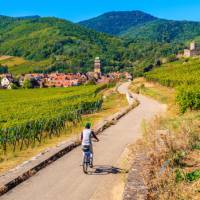 Cycle past vineyards to Kaysersberg village in Alsace