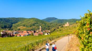 Walking the Alsatian Wine Route in France