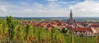 Explore the vineyards of the Alsace region in France