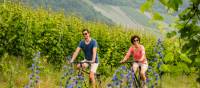 Riding by the vineyards of the Moselle Valley | Günter Standl