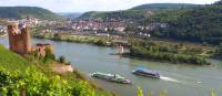 Discover Ehrenfels Castle near Rüdesheim on our Rhine Valley Bike & Barge in Germany