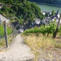 Hiking trail through the vineyards next to the Rhine River