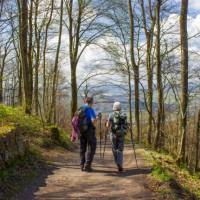 Hiking the tranquil Rhine Trail in Germany