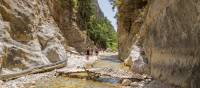 Walk through the Samaria Gorge in Crete