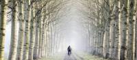 Cycling on a flat trail through a beautiful forest in the Netherlands | Claire Droppert