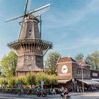 Visit a brewery in Amsterdam | Koen Smilde