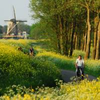 Travel the Dutch countryside the way the locals do | NBTC