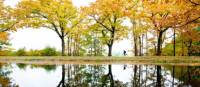 A man cycles along the Apeldoorns Canal under a colorful canopy. | Hollandse Hoogte