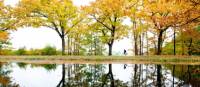 A man cycles along the Apeldoorns Canal under a colorful canopy. | Hollandse Hoogte