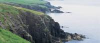 Cliffs of the Dingle peninsula. | Holger Leue