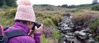 Photographing wild flowers on the Wicklow Way