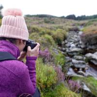 Photographing wild flowers on the Wicklow Way