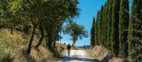 Walk through beautiful Tuscan landscapes on the Via Francigena