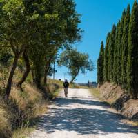 Walk through beautiful Tuscan landscapes on the Via Francigena