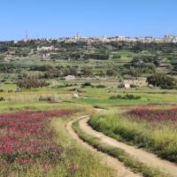 Walking into Rabat in northern Malta