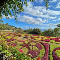 Funchal botanical garden