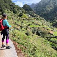 Overlooking the terrace fields on Madeira | Kate Baker