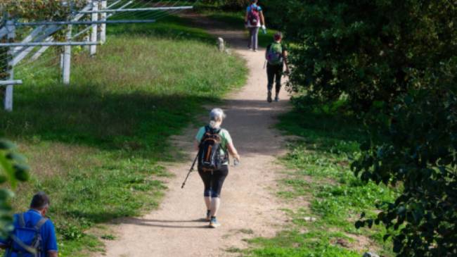 Pilgrims walking the Camino Portuguese