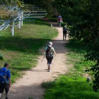 Pilgrims walking the Camino Portuguese