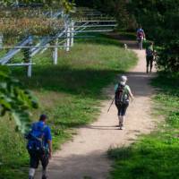 Pilgrims walking the Camino Portuguese