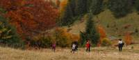 A group of hikers explore Transylvania in autumn