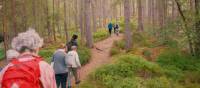 Enjoy walking along the Great Glen Way | Tim Charody