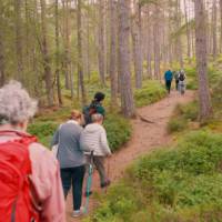 Enjoy walking along the Great Glen Way | Tim Charody