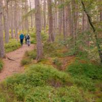 Enjoy walking along the Great Glen Way | Tim Charody