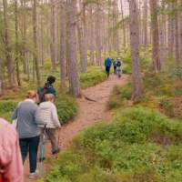 Enjoy walking along the Great Glen Way | Tim Charody