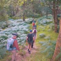 Experience Scotland's natural beauty on foot | Tim Charody