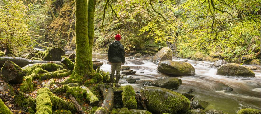 Hiking in the Birks of Aberfeldy on the Rob Roy Way |  Kenny Lam