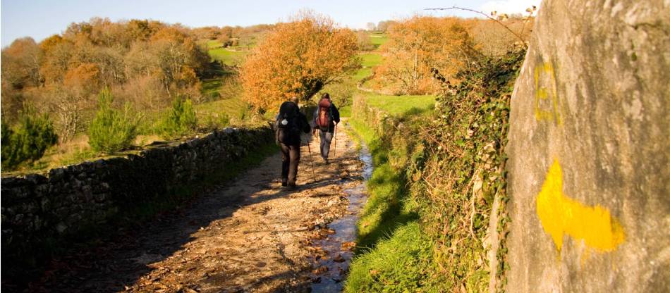 Best Of The Camino Guided Walk | Camino De Santiago Tours