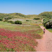Walking by spring flowers on the Balearic Islands in Spain
