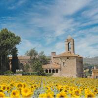 Sunflowers and castles in Pubol, Catalonia