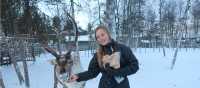 Feeding Reindeers near Kiruna, Lapland | Kate Baker